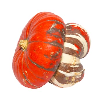 Red ornamental pumpkin isolated on white.