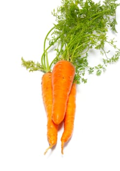 Carrots isolated on white.