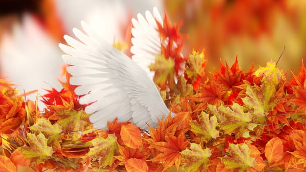 Autumn Leaves and dove wings  conceptual background
