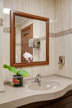 the hanging mirror, sink and flower in a pot on a stone table-top in a bathroom