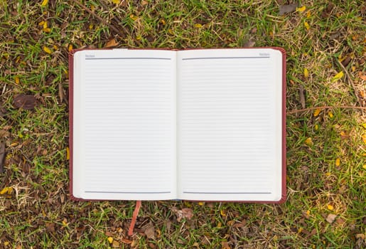Blank notebook on the grass in the park. View from above