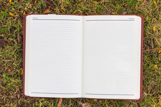 Blank notebook on the grass in the park. View from above