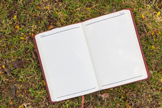 Blank notebook on the grass in the park. View from above