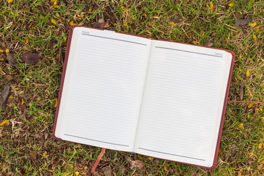 Blank notebook on the grass in the park. View from above