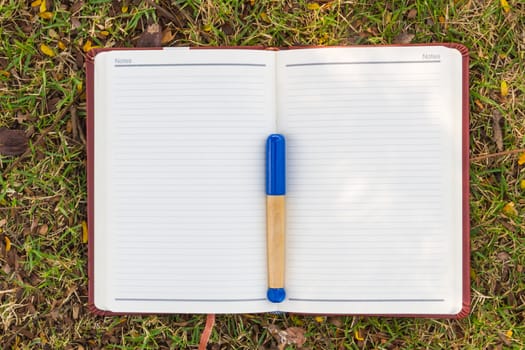 Blank notebook on the grass with blue pen in the park. View from above