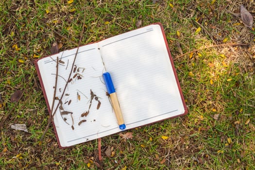 Blank notebook on the grass with bark and blue pen in the park. View from above.