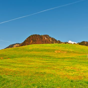 Alpine Pasture Framed by Mountains in Switzerland