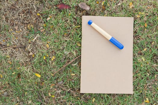 Blank notebook on the grass with blue pen in the park. View from above