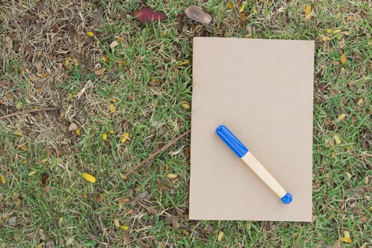 Blank notebook on the grass with blue pen in the park. View from above