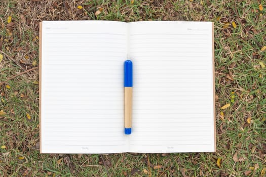 Blank notebook on the grass with blue pen in the park. View from above