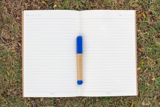 Blank notebook on the grass with blue pen in the park. View from above