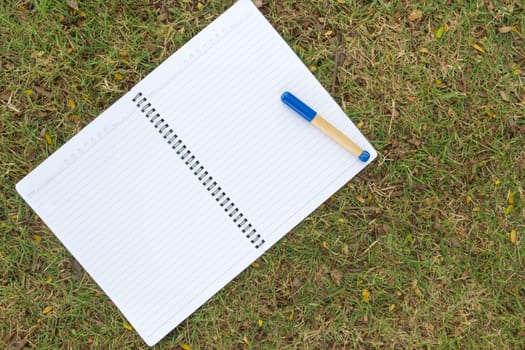 Blank notebook on the grass with blue pen in the park. View from above