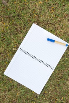 Blank notebook on the grass with blue pen in the park. View from above