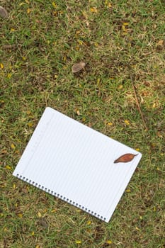 Blank notebook on the grass with bark in the park. View from above.