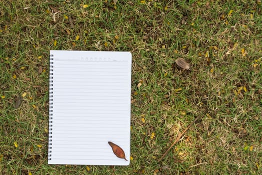 Blank notebook on the grass with bark in the park. View from above.