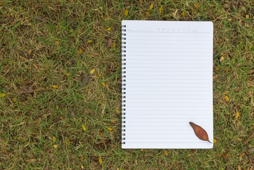 Blank notebook on the grass with bark in the park. View from above.