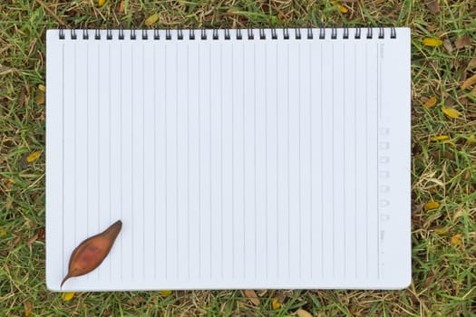Blank notebook on the grass with bark in the park. View from above.