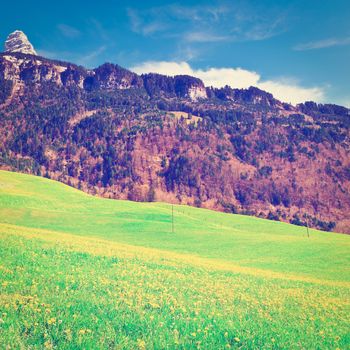 Alpine Pasture Framed by Mountains in Switzerland, Instagram Effect