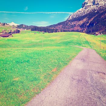 Asphalt Path Leading to the Farmhouse on the Alpine Pasture, Instagram Effect 