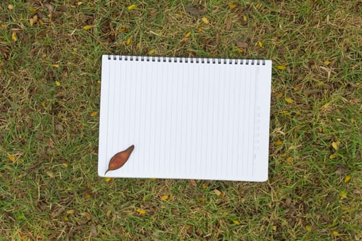 Blank notebook on the grass with bark in the park. View from above.