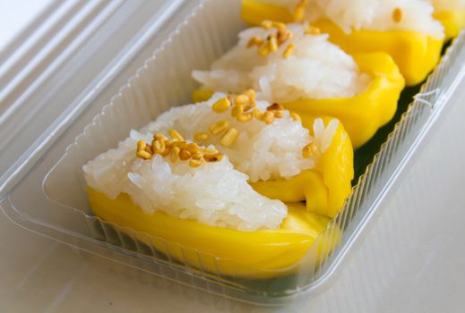 Coconut milk rice on jackfruit with roasted sesame