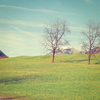 Alpine Pasture Framed by Mountains in Switzerland, Instagram Effect