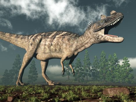 Ceratosaurus dinosaur roaring while walking - 3D render