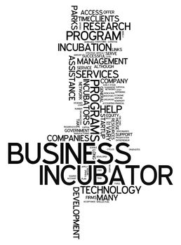 Word Cloud with Business Incubator related tags