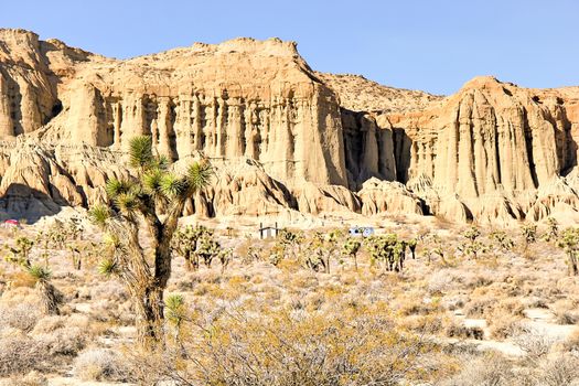 desert view at Red Rock Canyon, California, USA