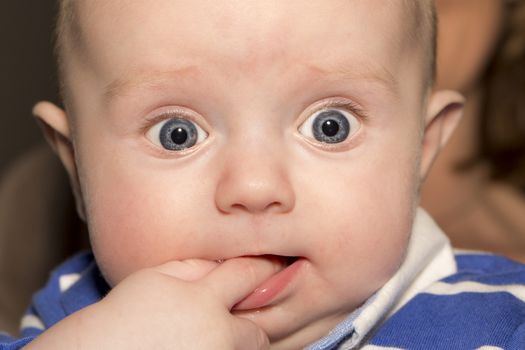 Portrait of a four months old baby boy  caucasian happiness and beauty, family