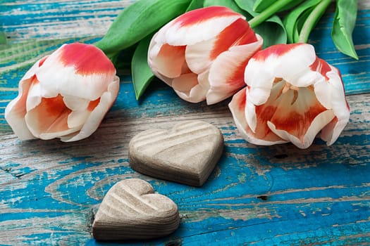 hand-carved symbolic wooden heart on a background red white Tulip