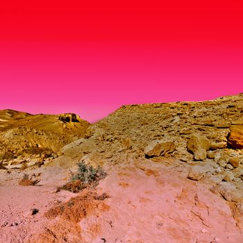 Rocky Hills of the Negev Desert in Israel at Sunset