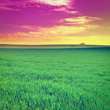 Alpine Pasture in Switzerland at Sunset, Instagram Effect