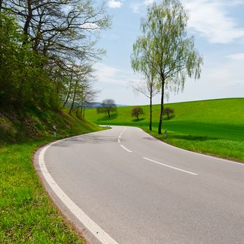 Asphalt Road between Fields  in the Swiss Alps 