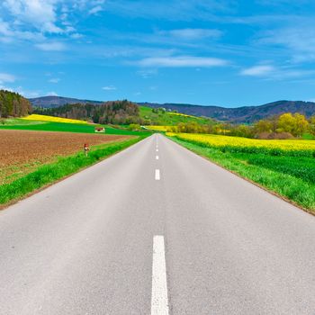 Asphalt Road between Green and Yellow Fields in the Swiss Alps 