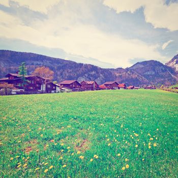 Small Swiss Town Surrounded by Meadows on the Background of Snow-capped Alps, Instagram Effect