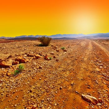 Dirt Road in the Rocky Hills of the Negev Desert in Israel at Sunset