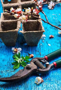 garden tools amid flowering branches spring apricot.Selective focus