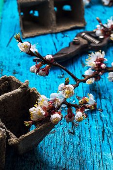 garden tools amid flowering branches spring apricot.Selective focus