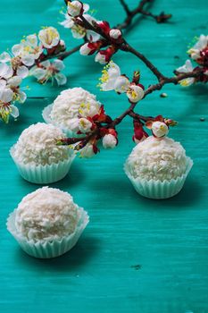 round candy on the background of the spring flowering tree branches on wooden surface.