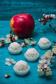 round candy on the background of the spring flowering tree branches on wooden surface.Selective focus