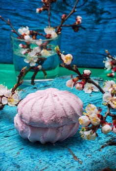 fragrant dessert marshmallows on green-blue wooden surface amid the branches of blossoming apricot