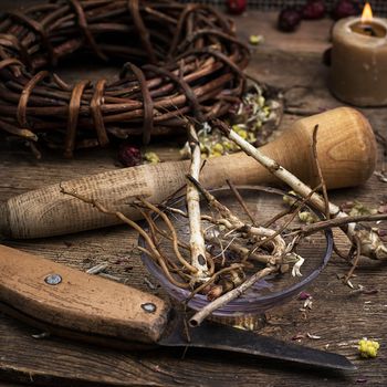 dried medicinal licorice root herbalist.Selective focus