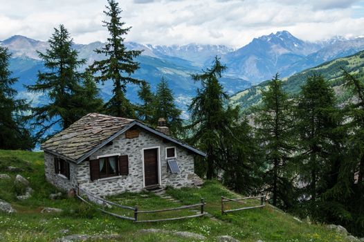 chantelle,parc du grand paradis,val d'aoste,italy