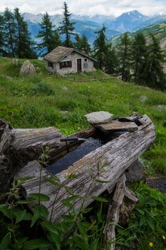 chantelle,parc du grand paradis,val d'aoste,italy