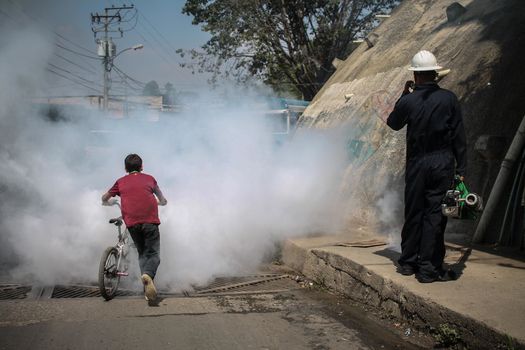 VENEZUELA, Caracas: A boy runs away through a cloud of smoke as a fumigation crew exterminates mosquitoes carrying the Zika virus in the slums of Caracas, Venezuela on February 3, 2016. As of February 4, there have been reports of at least 255 cases of the rare Guillain-Barre syndrome  which causes the immune system to attack the nerves  potentially linked to the Zika virus in Venezuela.