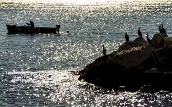 a fishmonger in his traditional boat at sunset