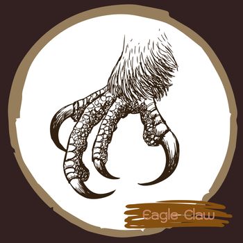 freehand sketch illustration of eagle claw, hawk bird doodle hand drawn