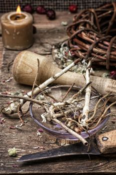 beam ligament healing herbs traditional medicine and pestle.Selective focus