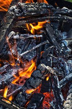 wood in the brazier flames.Selective focus